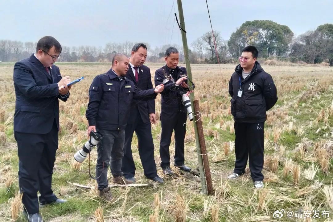 江西启动“清网护鸟”专项整治行动，严查非法猎捕鸟类等野生动物