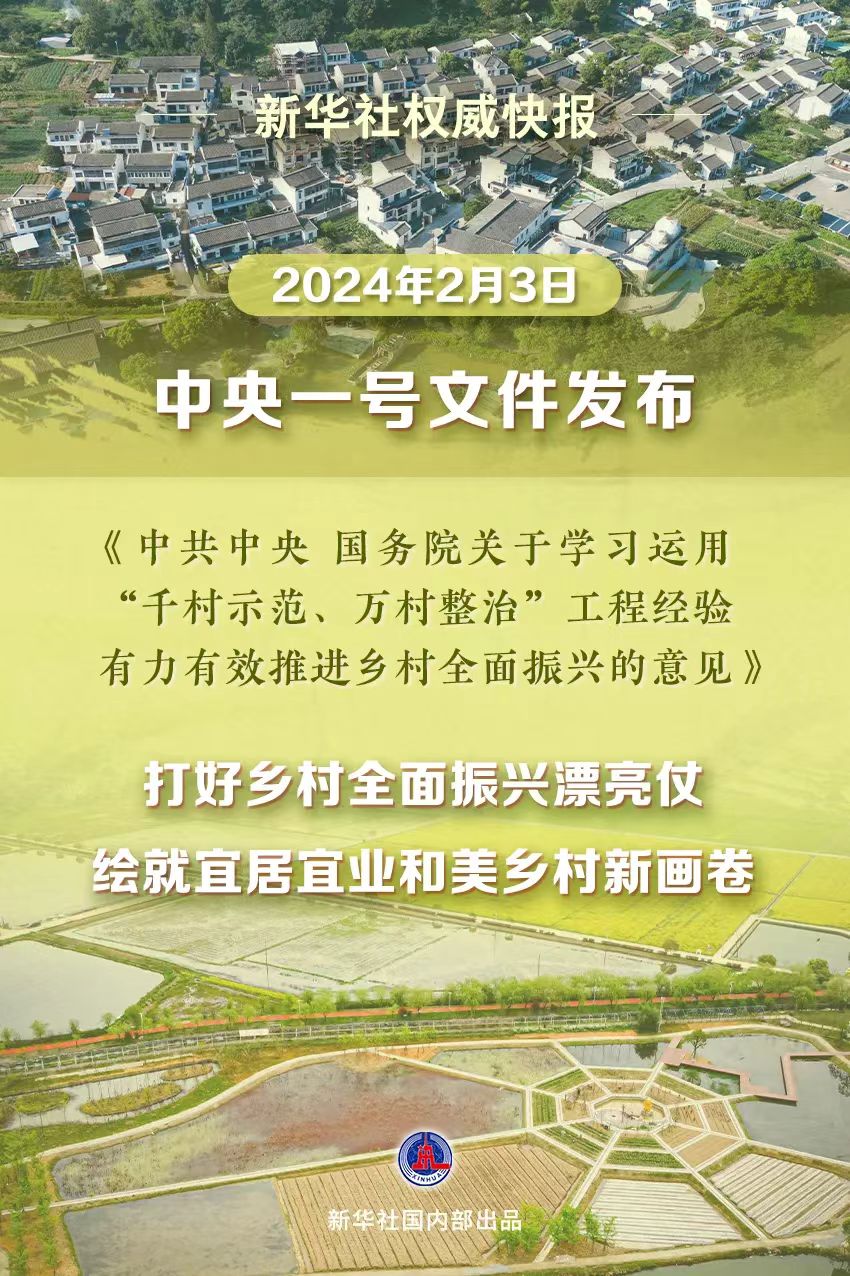 解读2025年中央一号文件：不断夯实农业基础，加力推进乡村振兴